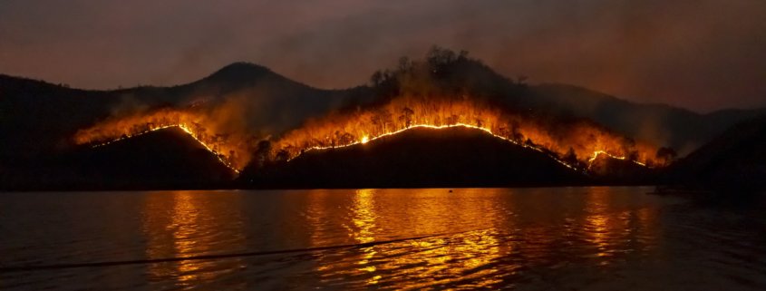 Wildfire Insurance in California
